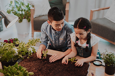 Buy stock photo Cropped shot of two adorable young siblings experimenting with plants indoors at home