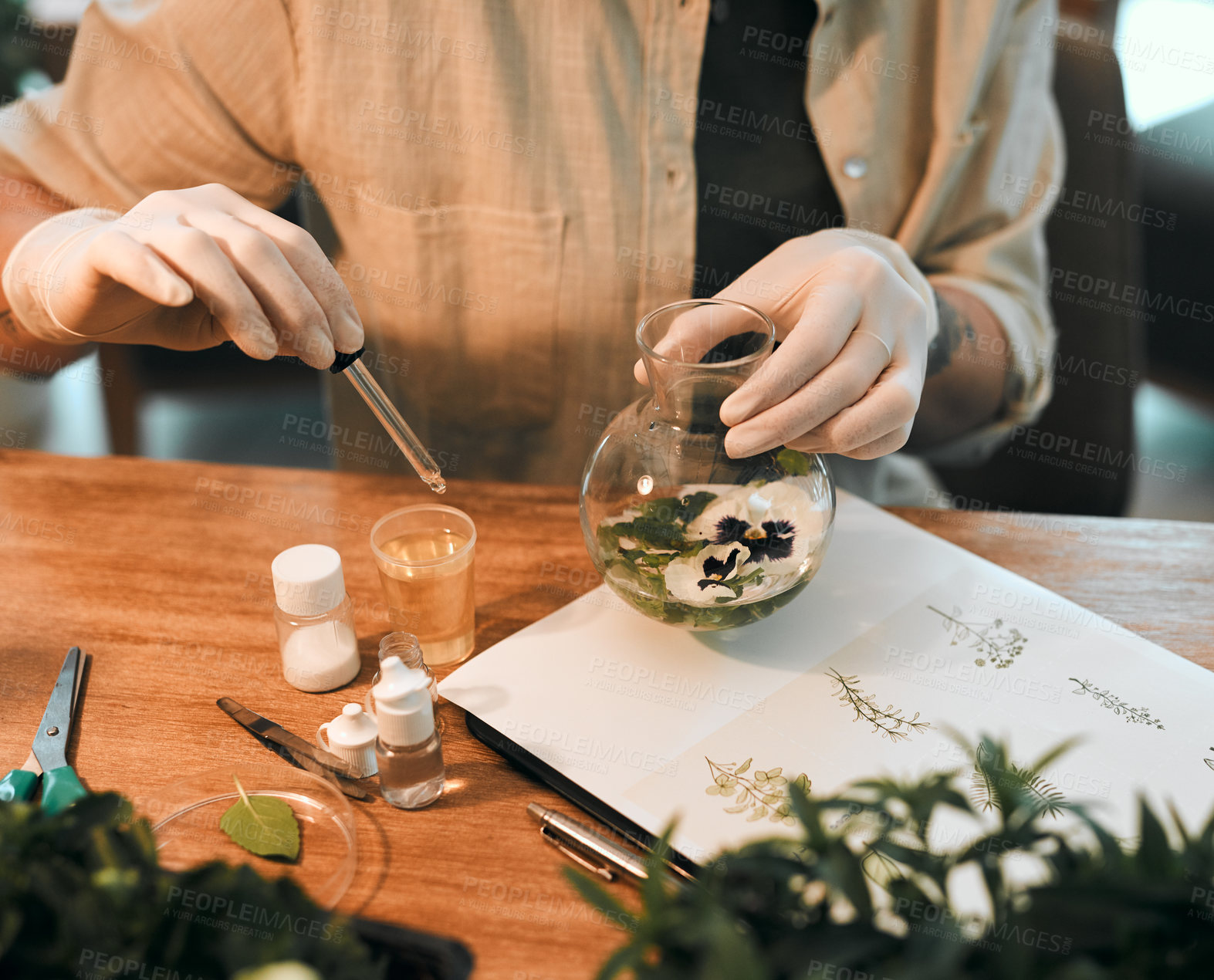 Buy stock photo Cropped shot of an unrecognizable botanist adding a liquid nutrient to a water based plant inside a glass jar