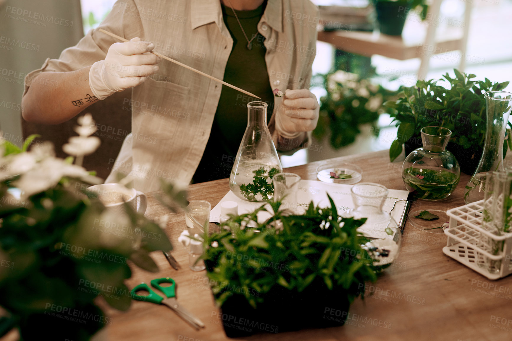 Buy stock photo Person, glass and investigation with plants for research in home, plant analysis or growth check for ecology. Beaker, analysis and document for agriculture review in house, herbs for sustainability