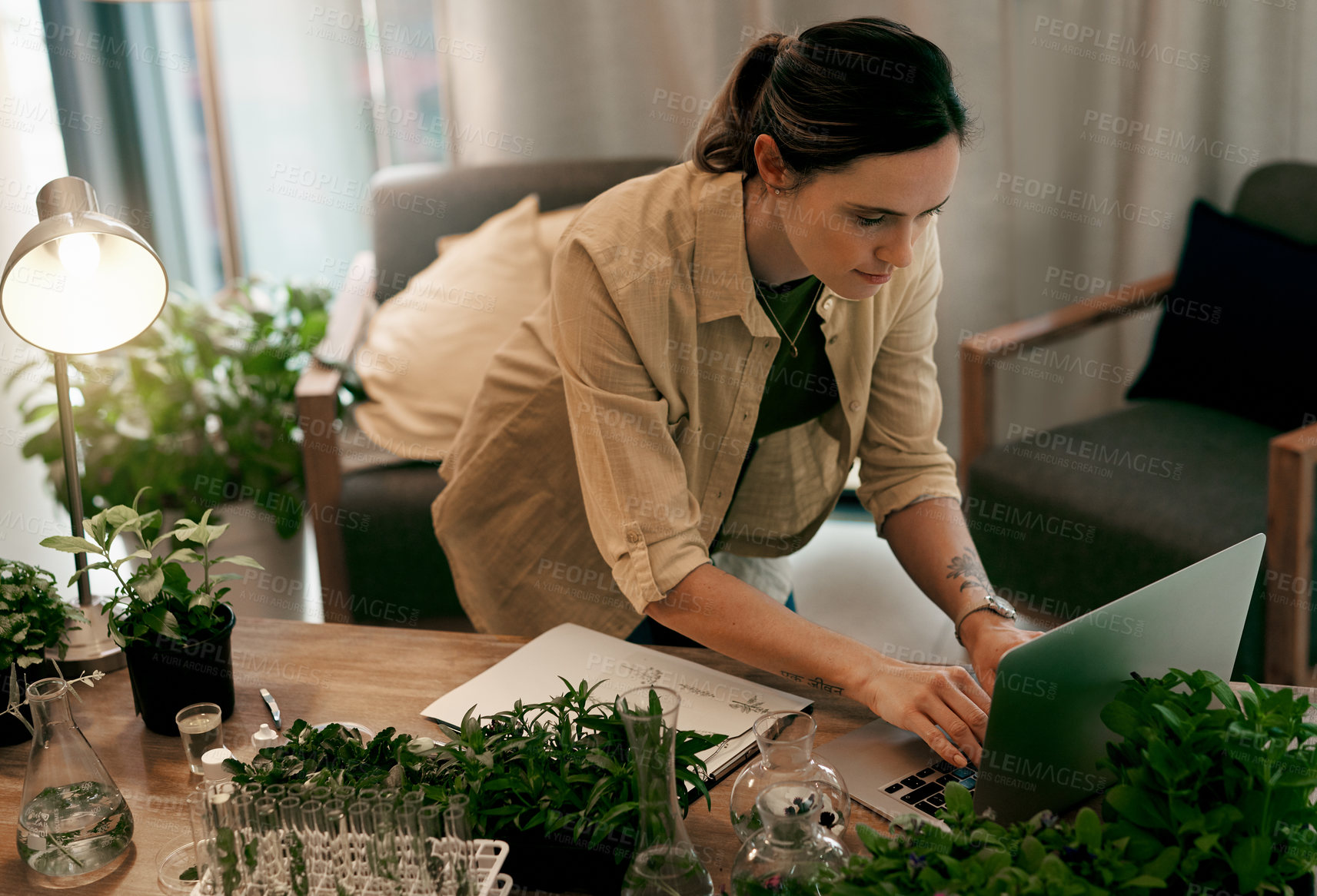 Buy stock photo Laptop, woman and online with plants in home for hydroponic experiment, research and botanical study. Girl, botanist and typing in house for lab report for agriculture, growth and ecology science.