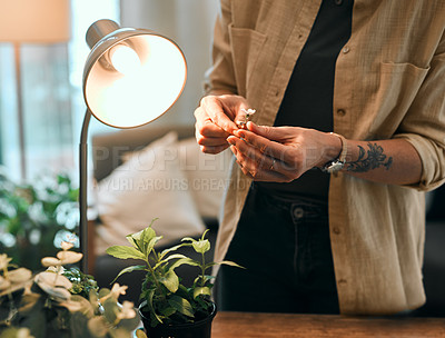 Buy stock photo Cropped shot of an unrecognizable botanist studying and experimenting with flowers inside her office