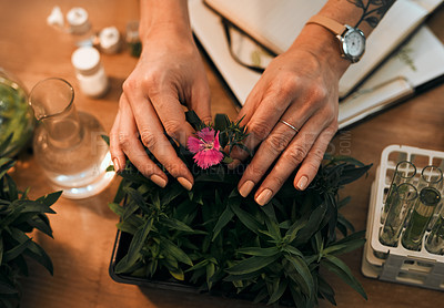 Buy stock photo Cropped shot of an unrecognizable botanists studying and experimenting with flowers in her office