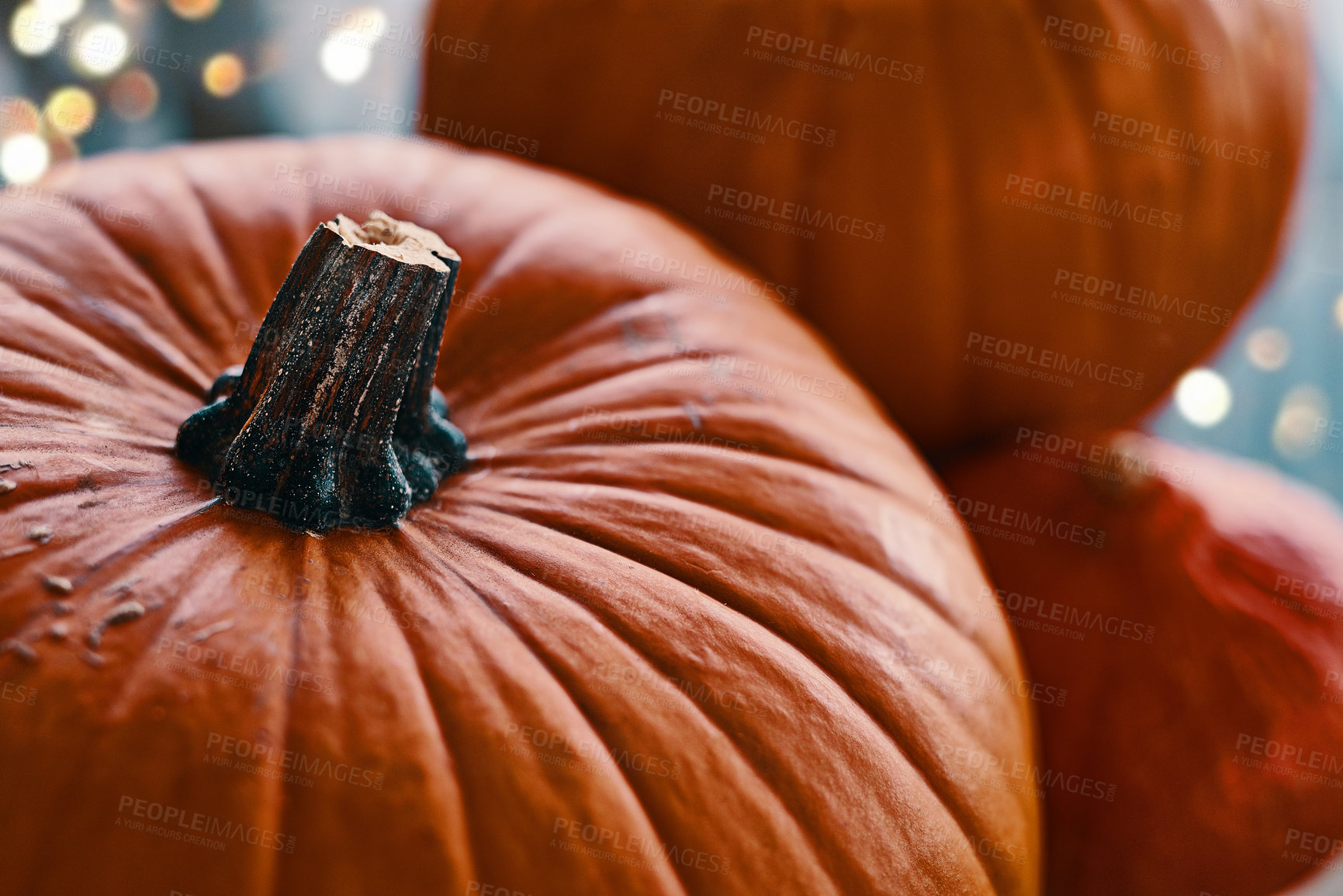 Buy stock photo Shot of a collection of ripe pumpkins at home