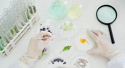 Buy stock photo Magnifying glass, plants and hands of scientist in laboratory studying flower for natural medication. Biotechnology, pharmaceutical and researcher working with leaves for herbal medicine discovery.