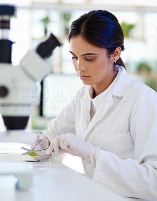 Buy stock photo Shot of a young scientist working with plant samples in a lab