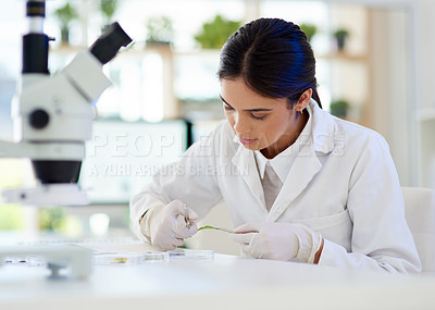Buy stock photo Science, woman and leaf in lab for biotechnology with scissor for sample analysis, medical experiment or medicine study. Agronomist, scientist and tools for plant inspection or sustainable healthcare