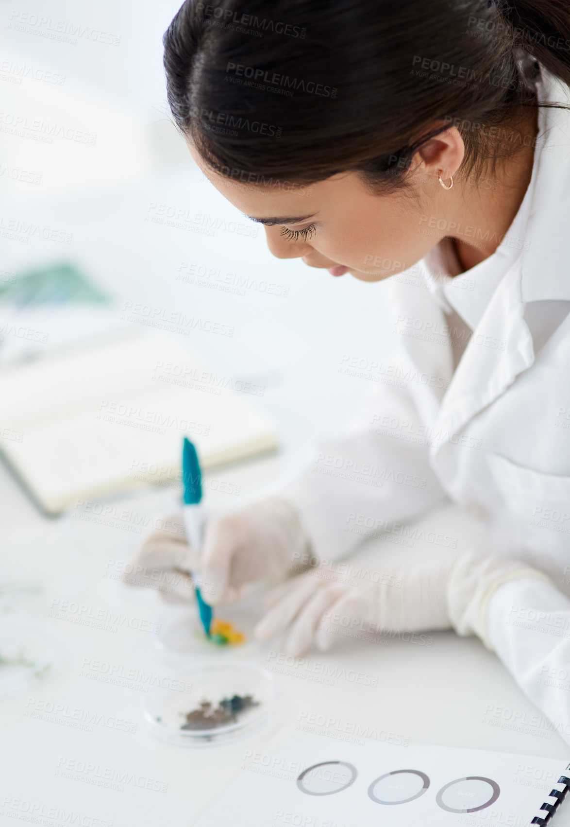 Buy stock photo Research, writing and woman or scientist with pen to label petri dish for identification or analysis for tools. Person and marker in laboratory for innovation or study, experiment and breakthrough.