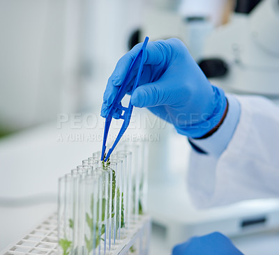 Buy stock photo Hand, test tubes and plants for research, medical and pharmaceutical development for health care. Scientist, laboratory and discovery for innovation, life extension and professional biochemistry