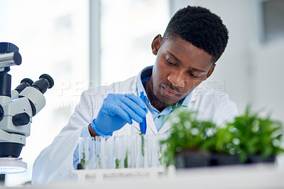 Buy stock photo Scientist, cannabis and test tube in lab with research for development, innovation or medical experiment. Science, investigation and man with analysis of sample for healthcare,  growth and knowledge