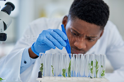 Buy stock photo Science, cannabis and black man with test tube in lab for medical experiment, innovation or development. Scientist, investigation and sample with analysis for healthcare, knowledge and benefits