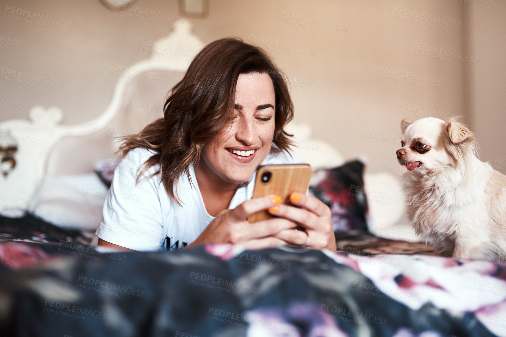 Buy stock photo Shot of a beautiful young woman using her cellphone while lying on her bed with her dog