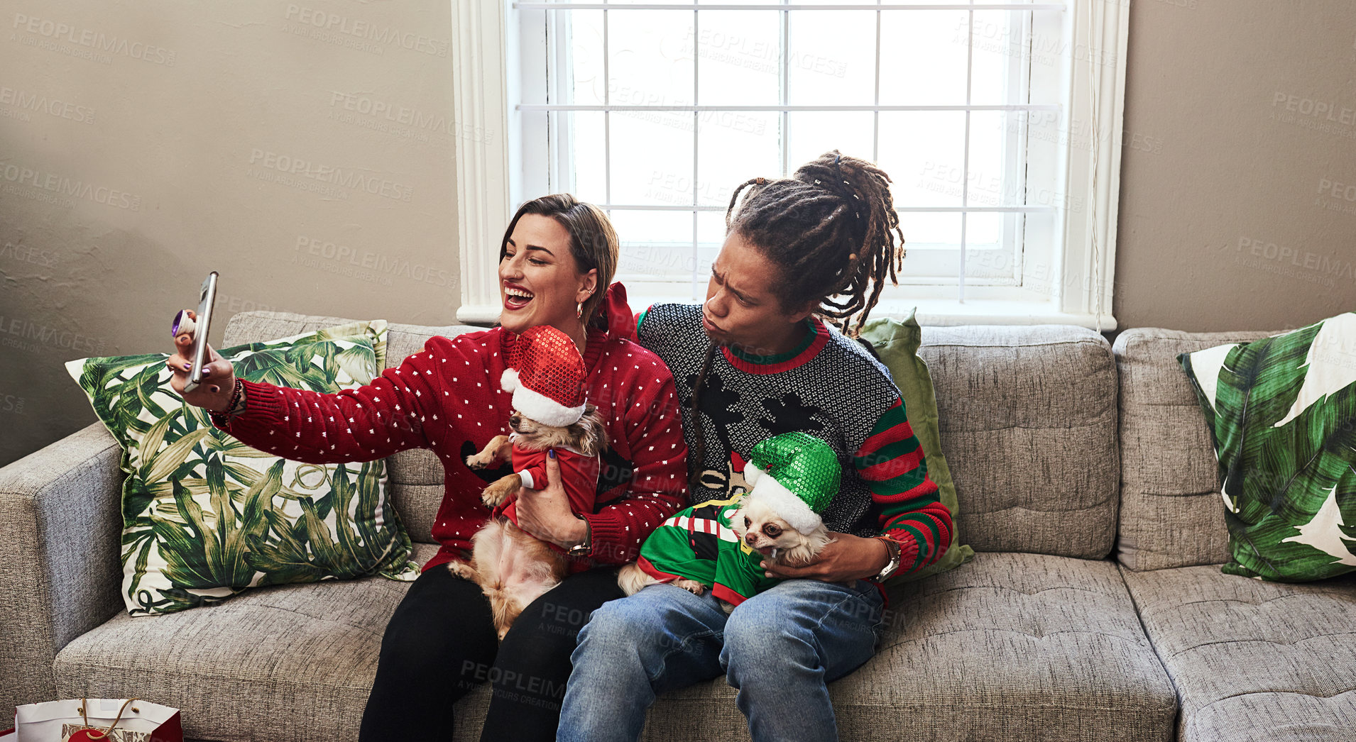 Buy stock photo Cropped shot of a cheerful young couple holding their pet dogs while being seated on a sofa during christmas time at home
