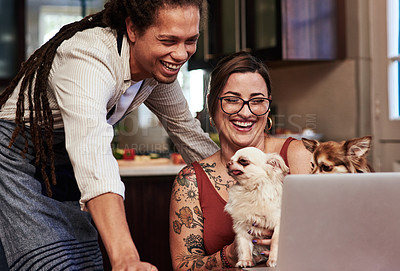 Buy stock photo Cropped shot of a cheerful young couple having a video call on a laptop while holding their dog at home