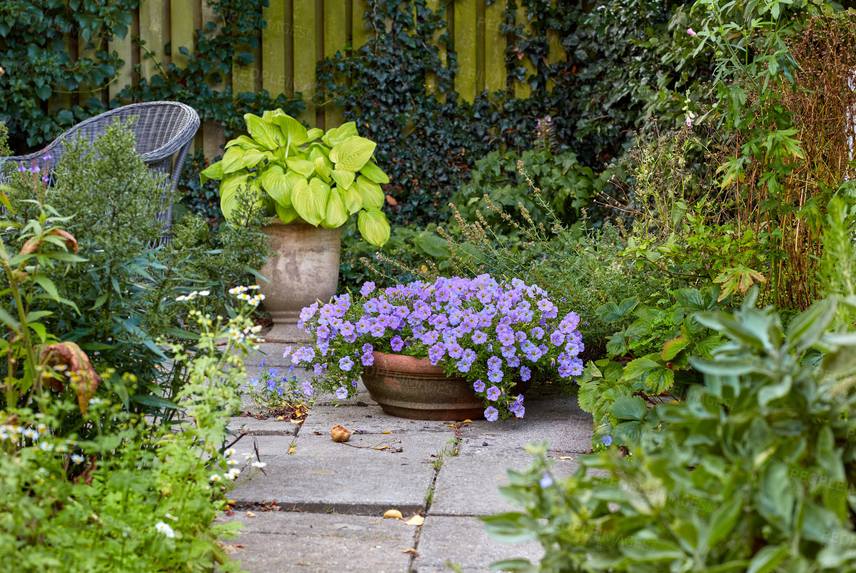 Buy stock photo A series of beautiful garden photos