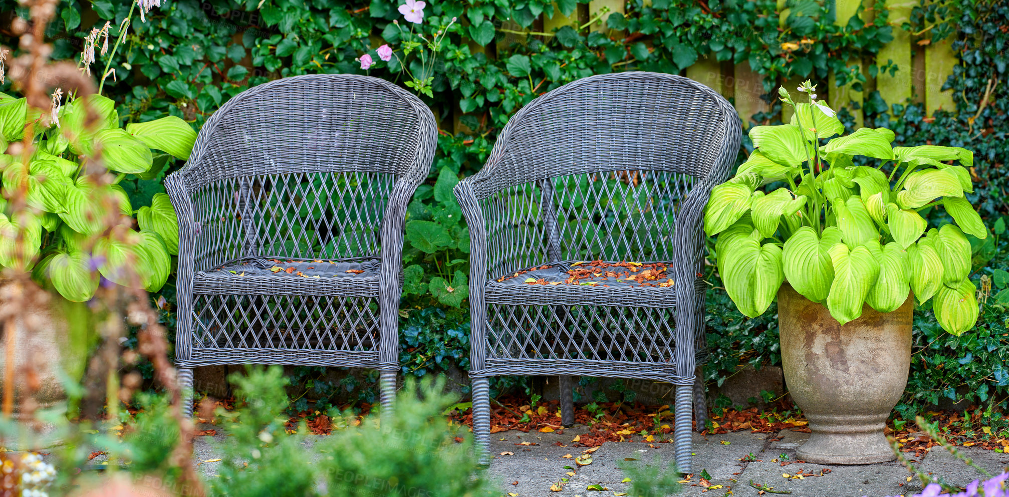 Buy stock photo The private spot of the Gardener - the beauty of garderning 