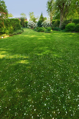 Buy stock photo A series of beautiful garden photos