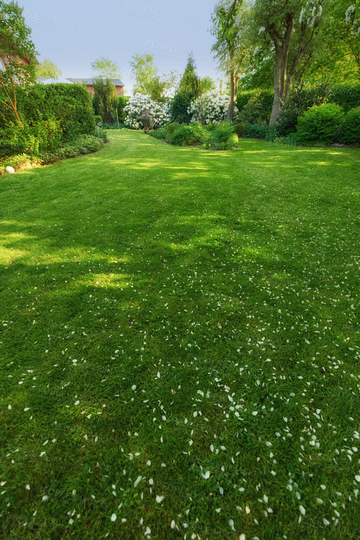 Buy stock photo A series of beautiful garden photos