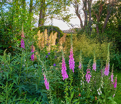 Buy stock photo A series of beautiful garden photos