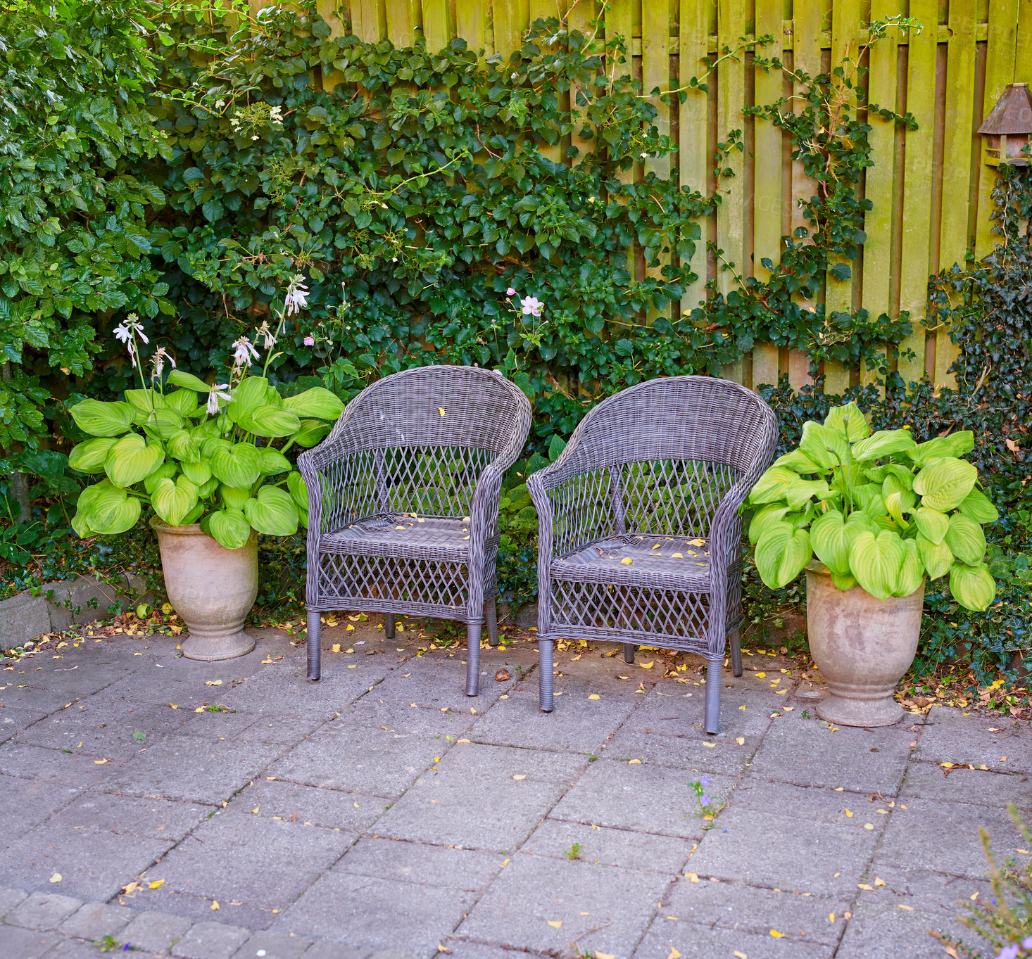 Buy stock photo The private spot of the Gardener - the beauty of garderning 