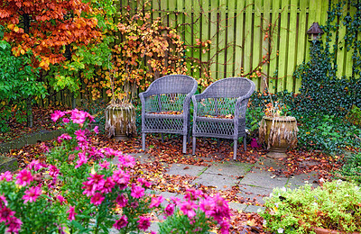 Buy stock photo A series of beautiful garden photos