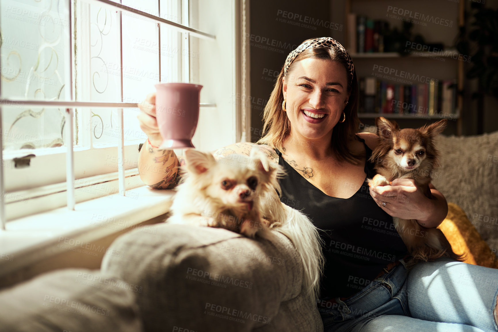 Buy stock photo Woman, portrait and coffee with dogs on sofa for relax, bonding with animals or happy in home. Person, chihuahua pets or together on couch with caffeine, smile and comfortable with companion in house