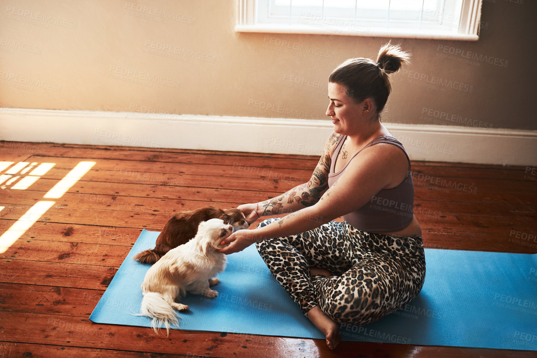 Buy stock photo Shot of a young woman petting her dogs while sitting on a yoga mat at home