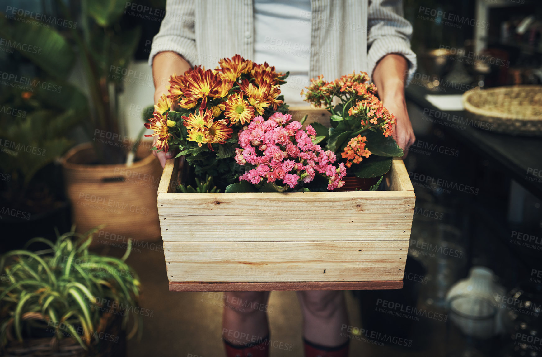 Buy stock photo Cropped shot of an unrecognizable florist holding a crate full of flowers inside a plant nursery