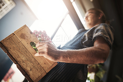 Buy stock photo Cropped shot of a florist holding a crate full of flowers inside his plant nursery