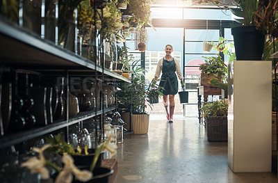 Buy stock photo Flowers, young florist carrying plants in buckets and in plant nursery with lens flare. Agriculture or carbon footprint, eco friendly environment and female worker in small business in flower retail 