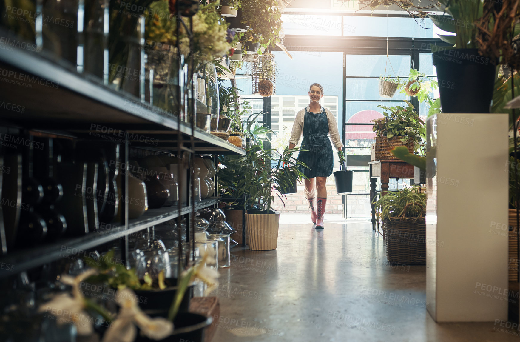 Buy stock photo Flowers, young florist carrying plants in buckets and in plant nursery with lens flare. Agriculture or carbon footprint, eco friendly environment and female worker in small business in flower retail 