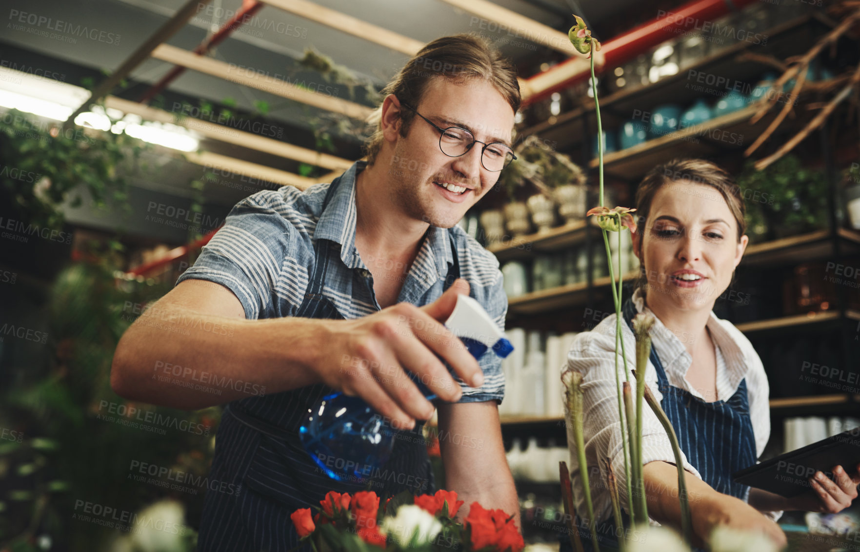 Buy stock photo Woman, man and flowers in nursery for watering, home garden decor or arrangement in agriculture. People, florist and greenhouse for landscape in ecology, botany and sustainability for quality control