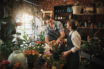 Buy stock photo Cropped shot of two young florists trimming flowers and working together inside their plant nursery