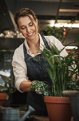 Buy stock photo Cropped shot of an attractive young florist arranging pot plants inside her plant nursery