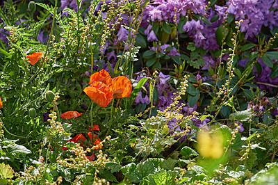 Buy stock photo A series of beautiful garden photos