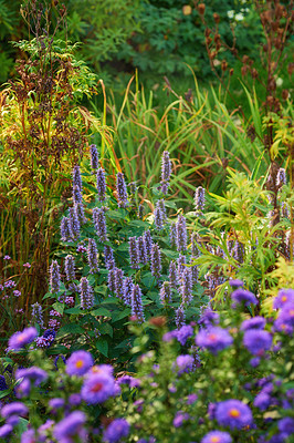 Buy stock photo A series of beautiful garden photos