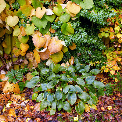 Buy stock photo A series of beautiful garden photos