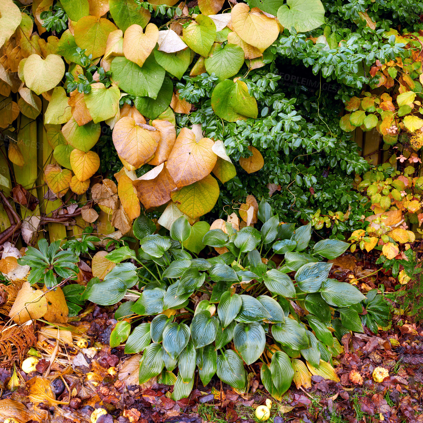 Buy stock photo A series of beautiful garden photos