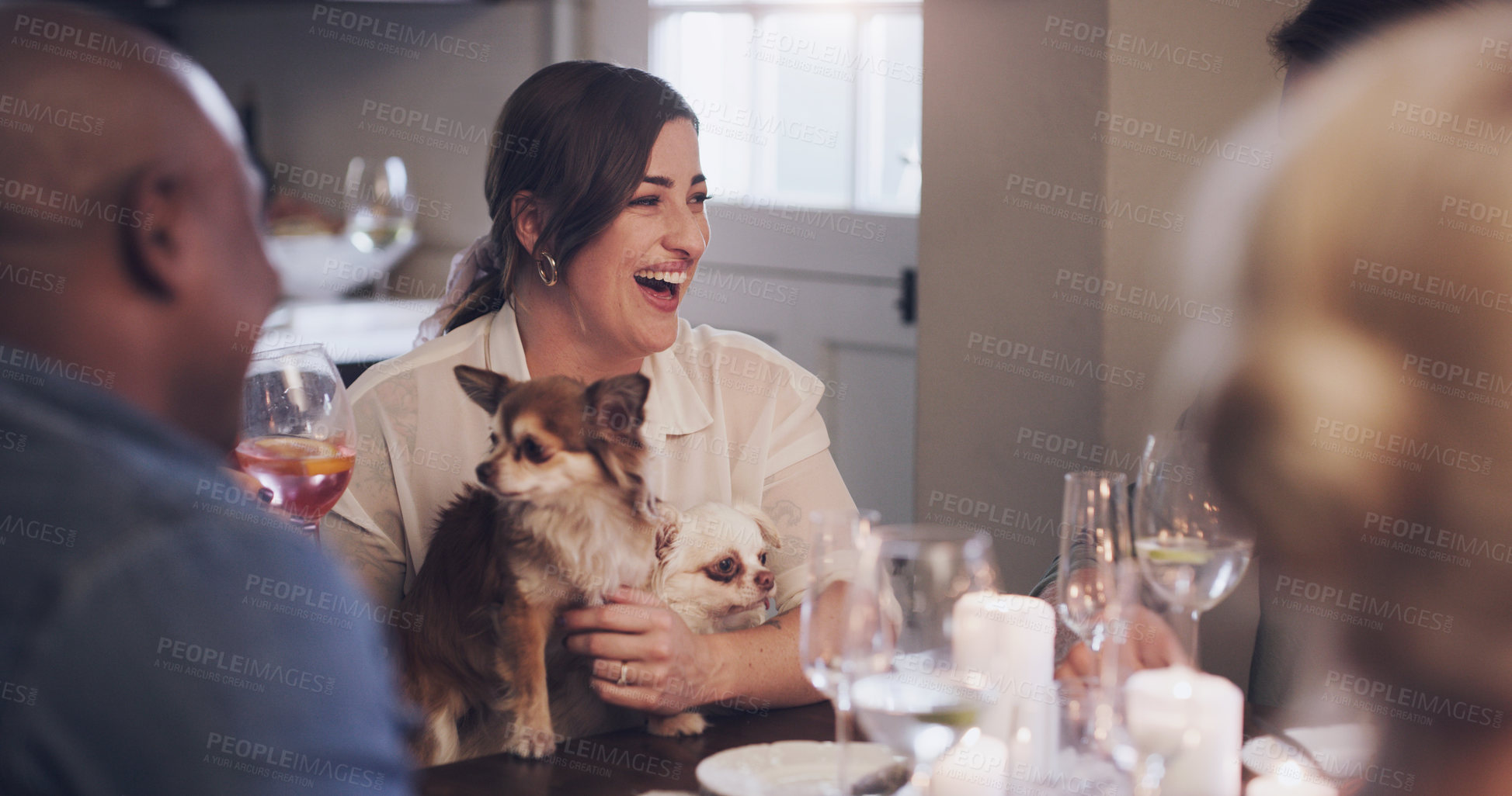 Buy stock photo Dinner, party and friends in home for celebration, pets and champagne on table, relax and alcohol. House, owner and woman with dogs, smile and happiness with group, festive and time for Christmas