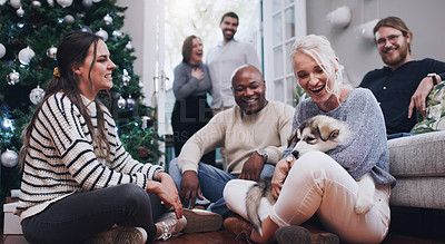 Buy stock photo Christmas, dog and party with friends in living room for celebration, relax and festive. Happy, holiday and xmas with pet and group of people at home for gathering, reunion and social event together