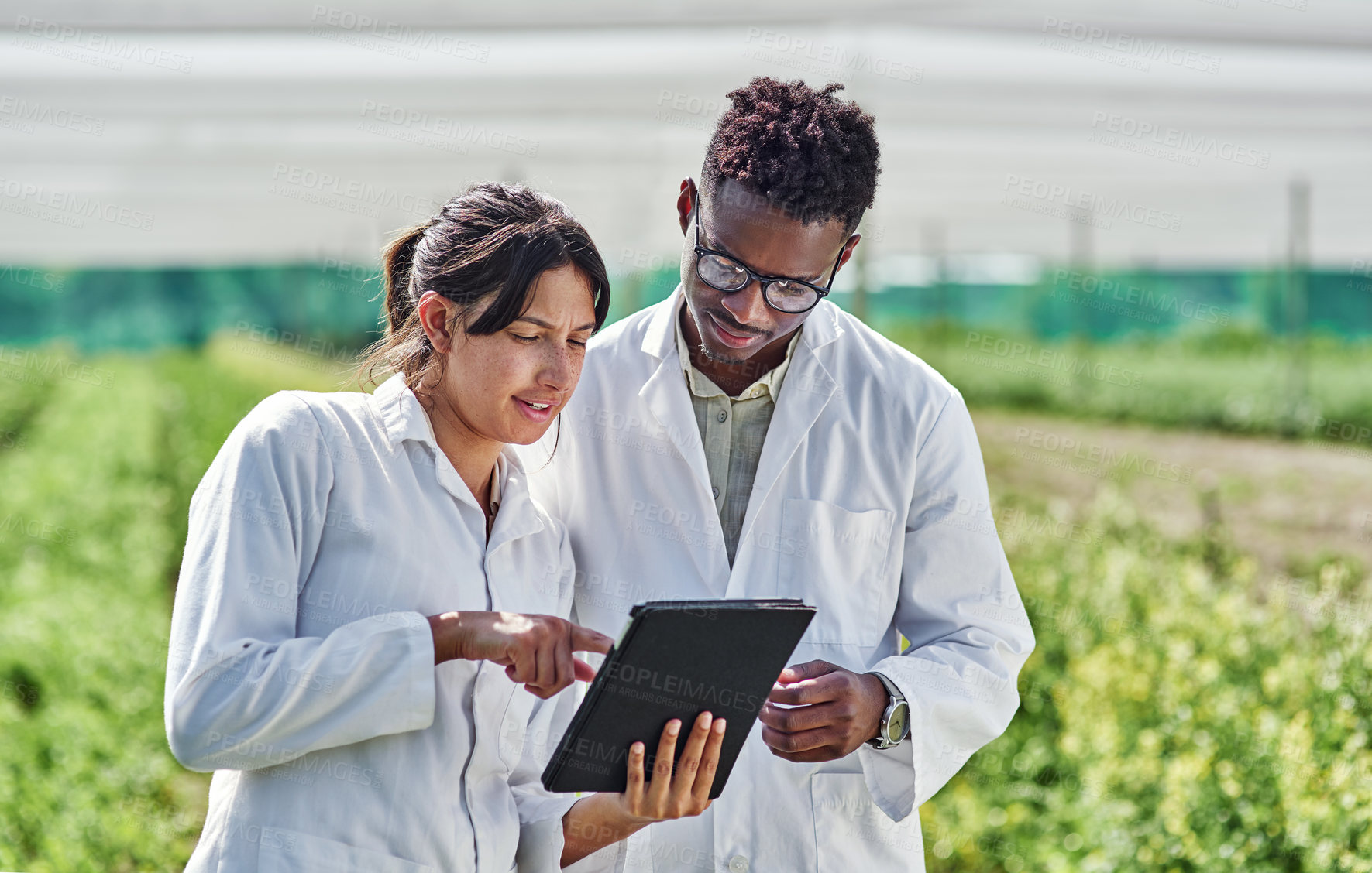 Buy stock photo Shot of two young scientists using a digital tablet wile studying crops and plants outdoors on a farm