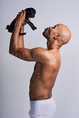 Buy stock photo Black man, play and dog for kiss in studio with underwear, pet support and body muscle of animal wellness. Male person, bonding and puppy with safety, loyalty and rescue friend on white background