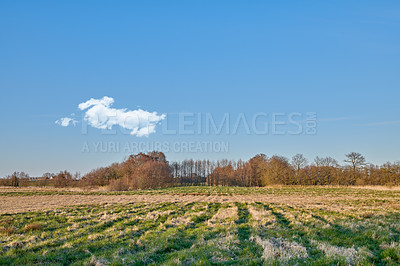 Buy stock photo The forest in late winter - early spring