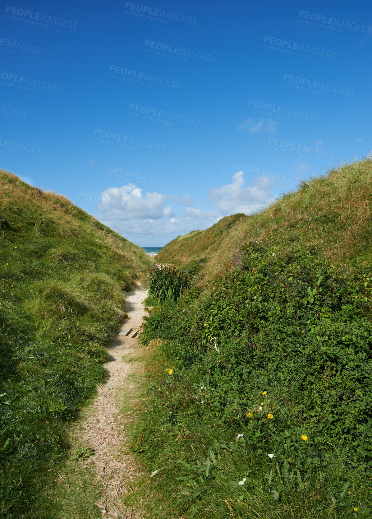 Buy stock photo Beautiful landscape with a secret path between grassy hills to a hideaway, hidden beach or secluded area with a blue sky copyspace. Peaceful and scenic view perfect for an adventure in nature