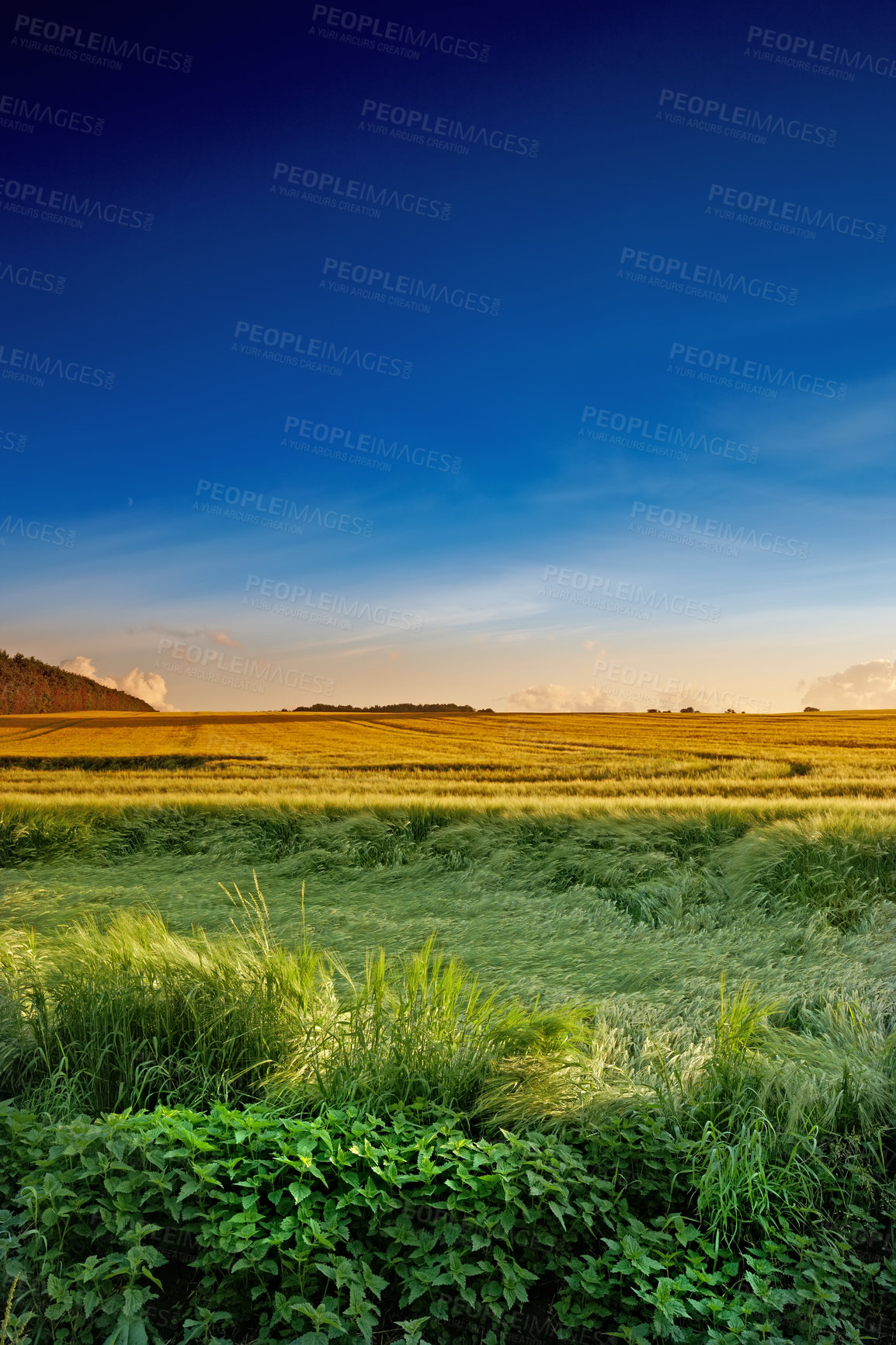 Buy stock photo A photo of a beautiful sunset in the countryside