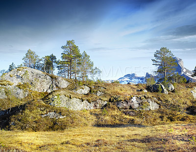 Buy stock photo A landscape of a mountain with trees and brown grass growing outdoors in nature on a winter day. Land with dry or arid plants and a rocky hill with a cloudy blue sky background