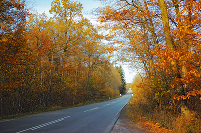 Buy stock photo Autumn - natural background