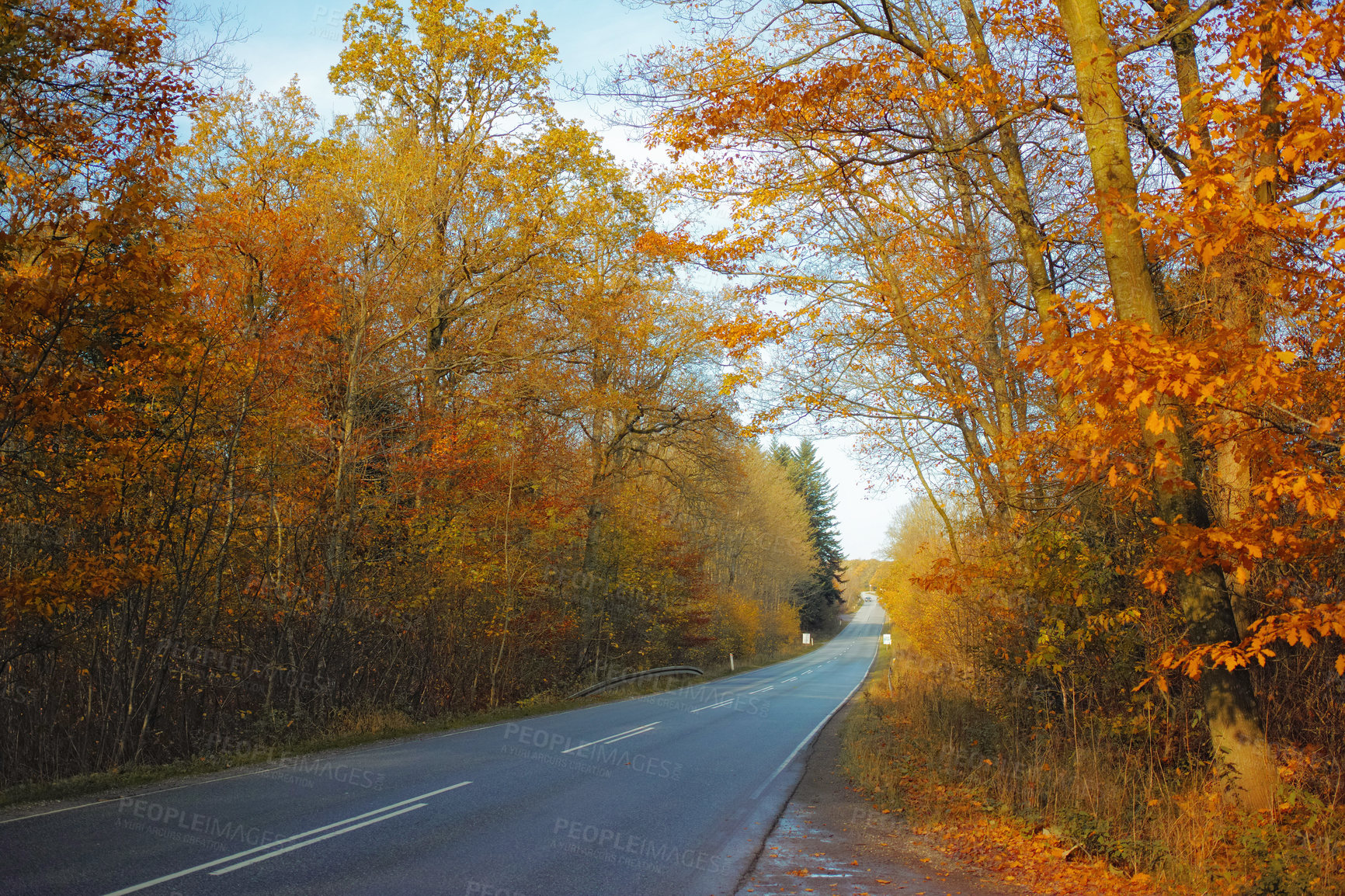 Buy stock photo Autumn - natural background