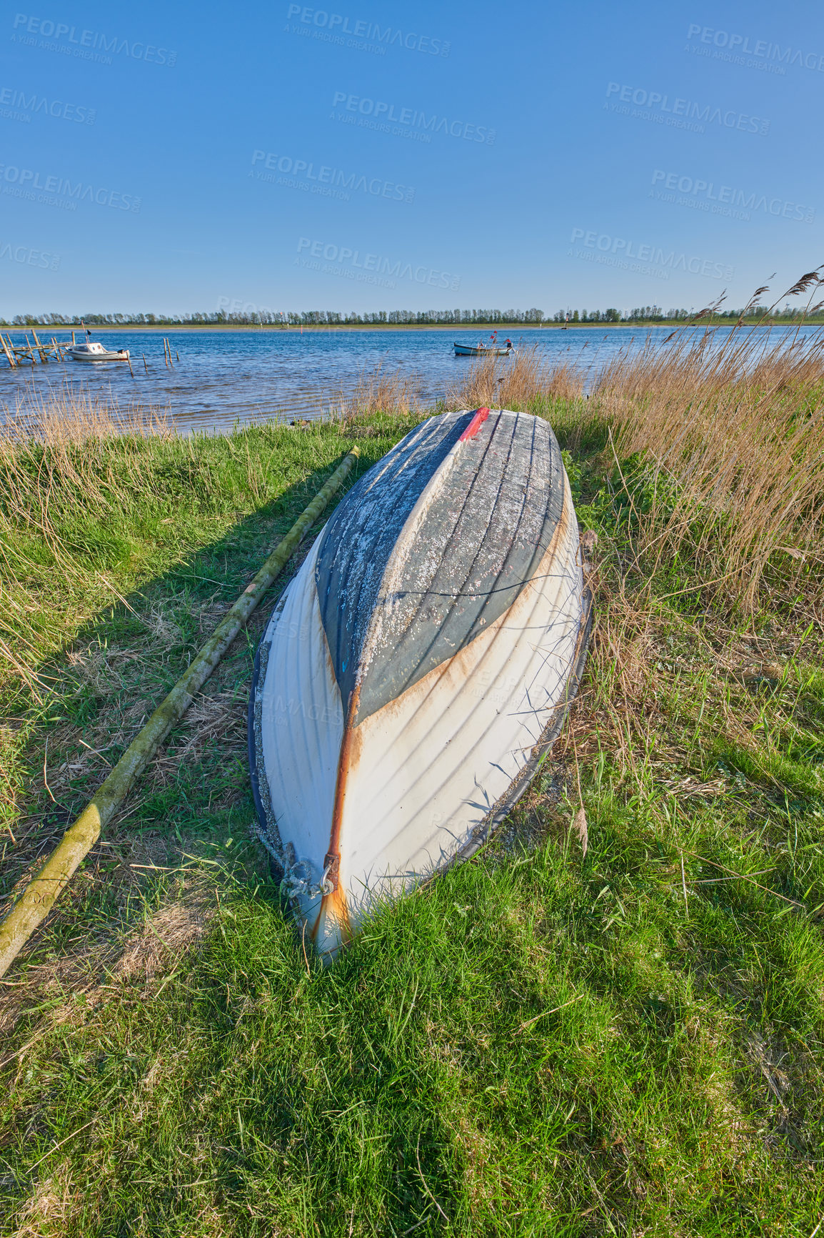 Buy stock photo Abandoned boat lying upside down near a lake with blue sky copy space. A white rowing boat on the grass by the lakeside after fun boating activity on a hot summer afternoon with copyspace background