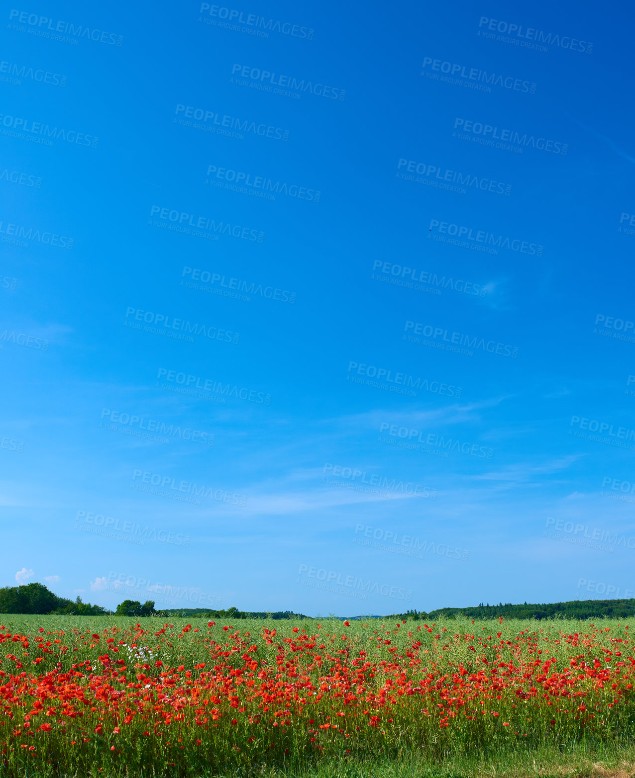 Buy stock photo A  photo of the countryside in early summer