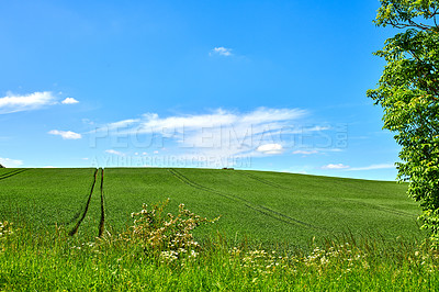 Buy stock photo Farmland in springtime - lots of copy space